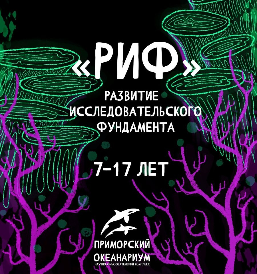 СТУДИЯ ДЕТСКИХ ИССЛЕДОВАТЕЛЬСКИХ И ПРОЕКТНЫХ РАБОТ «РИФ»