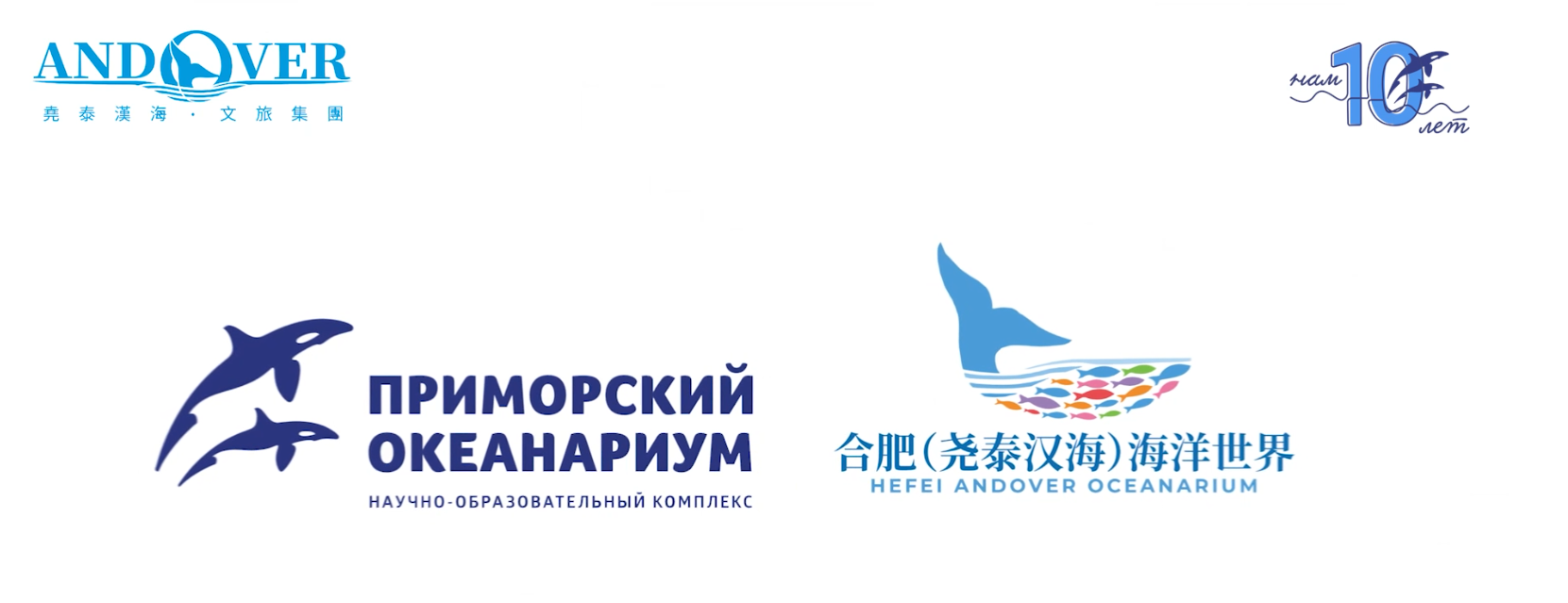 Видео отзыв